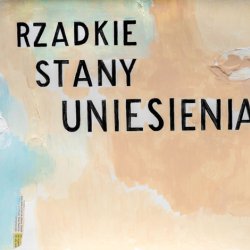 Rzadkie stany, 2023, akryl, papier, kolaż, 40 x 50 cm