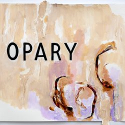 Opary, 2022, akryl, papier, kolaż, ok. 38,5 x 42 cm