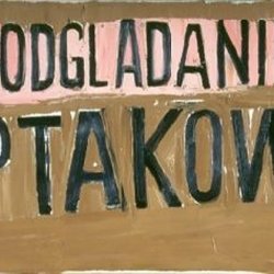 Podglądanie ptaków, 1996, olej, płótno, 50x70cm