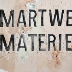 Martwe materie II, 2014, olej, akryl, płótno, 100 x 120 cm