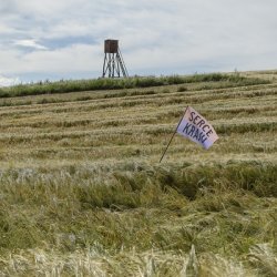 „Serce kraju, 2017. Flaga z napisem wyznaczająca emocjonalne centrum kraju