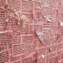 OGŁOSZENIA MATRYMONIALNE dla pań i panów, 2005, plakat ,46x63 cm w dwóch kolorach, naklejony w kilku warstwach na ścianę i zdzierany, wystawa ”Przyciąga i odpycha”, Atlas Sztuki w Łodzi.