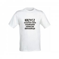 „Cytaty za darmo”, projekty gadżetów do rozdawania na ulicach Lublina: ulotki, koszulki i balony. Cytaty z Guy Deborda z adnotacjami. Festiwal sztuki w przestrzeni publicznej, Open City, Lublin 2010.