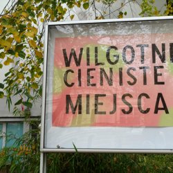 Plakaty w czasie Biennale Zielona Góra 2022 Odnowa/Renewal