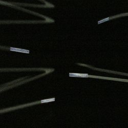 NIENAWIDZĘ CIĘ, 2005, 8 lightboxów, 9x30 cm, poruszających się w ciemnym pomieszczeniu 3,5x3,5x 4m, 2005, wystawa” Przyciąga i odpycha”, Atlas Sztuki w Łodzi