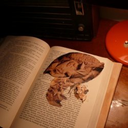 „Zadania artysty”, 2011, instalacja w archiwum miejskim w czasie wystawy „Oczy szukają głowy do zamieszkania”. Książki o sztuce z kolażami, dźwięk:  Andrzej Juszczyk.