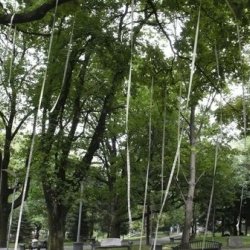 Sztuka to doskonałe opium, instalacja w parku Słowackiego w Bielsku- Białej w czasie koncertu zespołu Mystic Lab, 2015.