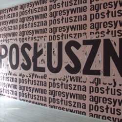Agresywnie posłuszna,  2007, instalacja tekstowa w czasie wystawy indywidualnej w  Czarnej Galerii, Warszawa.