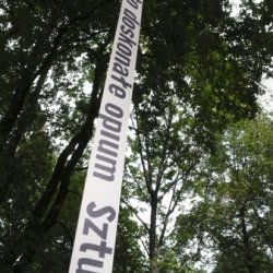 „Sztuka to doskonałe opium, instalacja w parku Słowackiego w Bielsku- Białej w czasie koncertu zespołu Mystic Lab, 2015