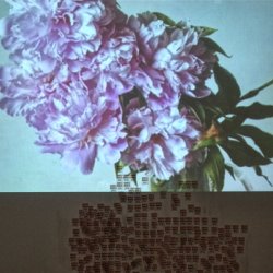 MIŁA I DOBRA, 2008, instalacja tekstowa i projekcja w czasie wystawy „Sensualia”, Galeria Starmach, Kraków