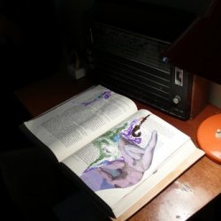 „Zadania artysty”, 2011, instalacja w archiwum miejskim w czasie wystawy „Oczy szukają głowy do zamieszkania”. Książki o sztuce z kolażami, dźwięk:  Andrzej Juszczyk.