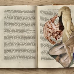 Książki o sztuce z kolażami, „Kamień i cierpienie”, 2011