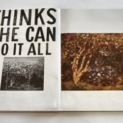 Albumy z napisami: Monet, 2010