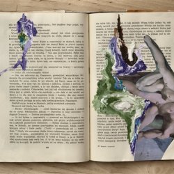 Książki o sztuce z kolażami, „Kamień i cierpienie”, 2011