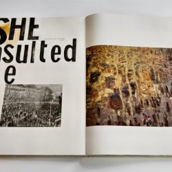 Albumy z napisami: Monet, 2010