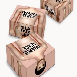 Pudełka z nadrukiem „Twarde serce/ Siła fatalna” i „ Brak kręgosłupa/ Nie interesuje”, 2003, 39x35x23,5cm