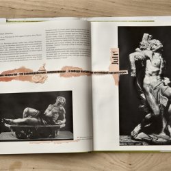 Książki o sztuce z kolażami, Bernini, 2011