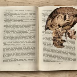 Książki o sztuce z kolażami, „Kamień i cierpienie”, 2011