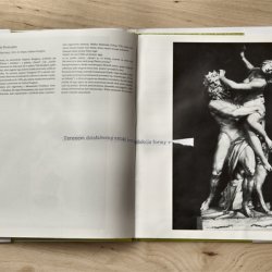 Książki o sztuce z kolażami, Bernini, 2011