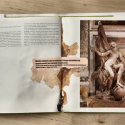 Książki o sztuce z kolażami, Bernini, 2011