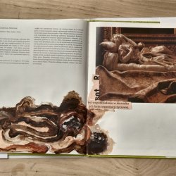 Książki o sztuce z kolażami, Bernini, 2011