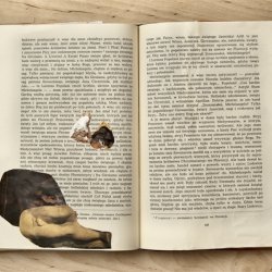 Książki o sztuce z kolażami, „Kamień i cierpienie”, 2011