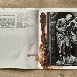 Książki o sztuce z kolażami, Bernini, 2011