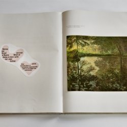 Albumy z napisami: Monet, 2010