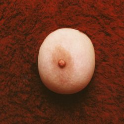 Pierś, 2001, 80x60 cm