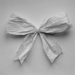 Kokardka, 2002, 40x30 cm