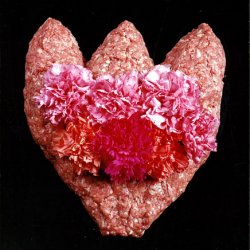 Kwiat z goździkami, 1994/5, 80x60cm