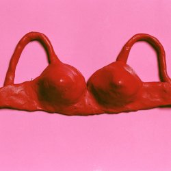 Czerwony biustonosz, 1996, 60x80 cm