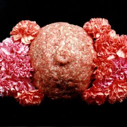 Pierś z kwiatami, 1994/5, 80x60cm