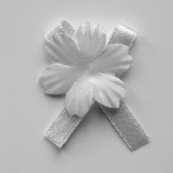 Kokardka, 2002, 40x30 cm