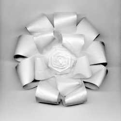 Kokardka, 2002, 40x30 cm