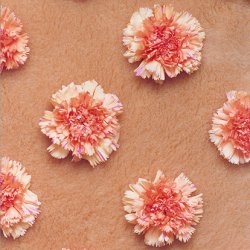 Pomarańczowe goździki na beżowym, 1999, 80x60 cm