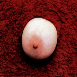 Pierś, 2001, 80x60 cm